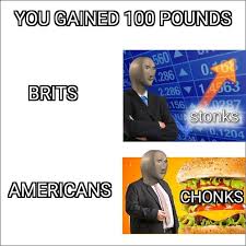 Forty Four Miscellaneous Memes Full Of Dumb Humor Funny Memes Stupid Memes Funny Cat Memes