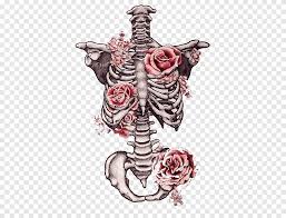 Check spelling or type a new query. Drawing Human Skeleton Flower Art Skeleton Pencil Heart Png Pngegg