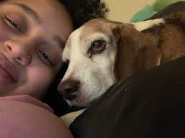 Loss of beloved pet dog Bugg, a Boston Terrier/Pug mix