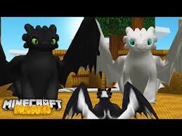 The httyd night fury mod adds new night fury mobs to minecraft. Minecraft How To Train Your Dragon A Night Fury 15 Agaclip Make Your Video Clips