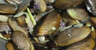 Ikan air tawar memang cocok untuk dipelihara, baik dijadikan hiasan diakuarium atau dipelihara dalam kolam berbagi jenis dan bentuk yang mmenarik. 20 Resep Oseng2 Tumis Kijing Enak Dan Sederhana Ala Rumahan Cookpad