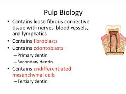Top 10 fun indoor activities for teens: Endo Mental Dental Flashcards Quizlet