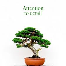 A person who is not a lawyer | meaning, pronunciation, translations and examples English Speaking Lawyers In Spain Scudamore Law