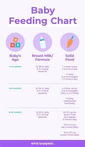 Baby Feeding Schedule Baby Food Chart For The First Year