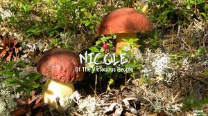 Record the pronunciation of this word in your own voice and play it to listen to how you have pronounced it. Nicole Name Pronunciation In 20 Different Languages