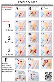 Esto puede causar dolor, sangrado abundante, sangrado entre periodos y problemas para. Klassifikation Enzian Stiftung Endometriose Forschung