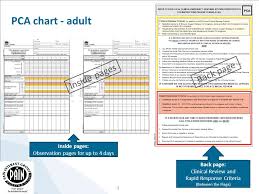 Pca Patient Controlled Analgesia Chart Adult Education