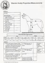Ultimate Show Guide To Siberian Huskies By Xmush Kennelsx On