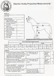 husky dog diagram wiring diagrams