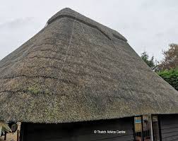 > to understand how a vernacular roof is constructed. 7 Points To Consider On Thatched Roof Condition Thatch Advice Centre