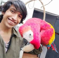 Insect species that are considered cute