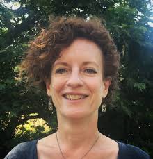 Hangleton and Knoll candidate spotlight