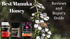 top 15 best manuka honey brands 2019 updated umf certified