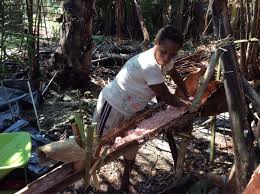 Ada calon kongsikan dan tanya apa jawapan.ok ini pandangan kamisangat tidak setuju. Cerita Ulat Bakar Dari Pohon Kehidupan Warga Papua Regional Liputan6 Com
