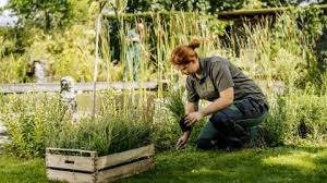 Landschaftsgärtner, die ihre exklusiven träume im garten umsetzen. Fortbildung Als Techniker Im Garten Und Landschaftsbau Jetzt Fortbilden Galabau Camp