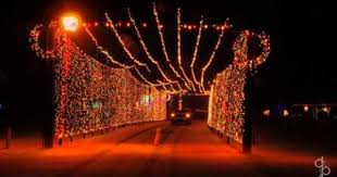 Tpa Park Christmas Lights Frankfort Indiana My Hometown Christmas Lights Frankfort Indiana