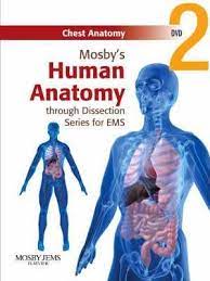 The chest wall is a complex system that provides rigid protection to the vital organs such as the heart, lungs, and liver; Mosby S Human Anatomy Through Dissection For Ems Chest Anatomy Dvd Jones Bartlett Learning 9780323053273