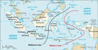 Persebaran Fauna Di Indonesia Tambah Pinter Tambah Pinter