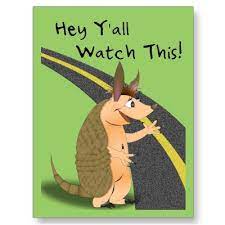 Why So Many Armadillos Get Runt Over Funny Greeting Cards Funny Cards