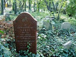 We did not find results for: Why Do Jews Not Place Flowers At Graves Jewishboston