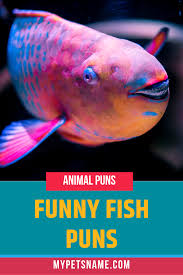 Funny Fish Puns Fish Puns Fishing Humor Fishing Jokes