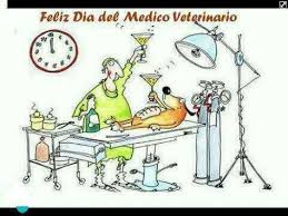 Jun 15, 2021 · el jueves 24 a las 19, en el marco del día del medio ambiente, el museo de la memoria invita a participar de la mesa debate tiempo de labranza. 15 Ideas De Dia Del Veterinario Dia Del Veterinario Veterinaria Dibujo Veterinario Medico