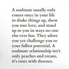 All your flaws, mistakes, smiles, giggles, jokes, sarcasm everything. True Love Is Everything