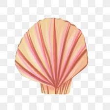 Maybe you would like to learn more about one of these? Clam Shell Png Images Vector And Psd Files Free Download On Pngtree