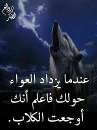 Check spelling or type a new query. Ø®Ù„ÙÙŠØ§Øª Ø°Ø¦Ø¨