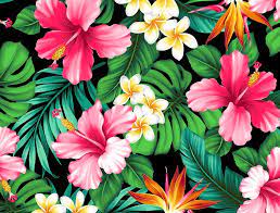 5 out of 5 stars (516) 516 reviews $ 4.00 bestseller favorite add to more colors hawaiian floral print key. Hawaiian Tropical Fabrics