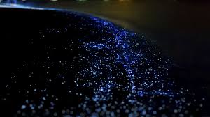Mq19 Ocean Night Dark Blink Beautiful Nature Papers Co Best nature hd wallpapers for mobile and desktop, android and iphone. mq19 ocean night dark blink beautiful nature papers co