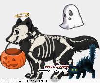 Jackster Calicowolf S Pets Chicken Smoothie Pet Chickens Pets Cat Sitting