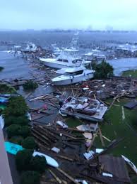 Best seafood restaurants in orange beach, alabama: Fight The Blight On Twitter Orange Beach Alabama Sally