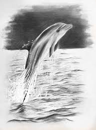 Learn how to draw the illusion of animal hair using two different approaches in this lesson. Was Marvin Fur Lucy Malt Als Elias Ihn Darum Bittet Dolphin Drawing Animal Drawings Realistic Pencil Drawings