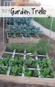 Check spelling or type a new query. 33 Inspiring Diy Trellis Ideas For Growing Climbing Plants The Self Sufficient Living