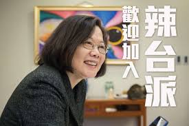 Image result for 蔡英文起飛 2020