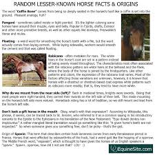 Some Interesting Horse Facts From Equinesite Com Horse Facts Interesting Facts About Horses Horse Tips