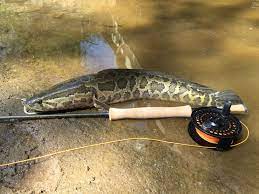 Pin On Fly Fishing
