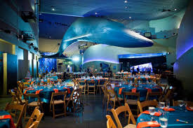 Aquarium Of The Pacific Wedding Aquarium Wedding Long Beach Aquarium Pacific Wedding