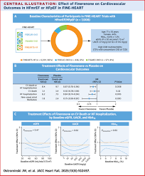 Image result for Finerenone