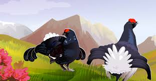 Tous les chiens ne sont pas autorisés à la chasse, chasse passion fait le tour en matière de législation et vous informe sur les chiens il existe actuellement 5 groupes pour les chiens de chasse : Reglementation De La Chasse En Haute Savoie Federation Des Chasseurs