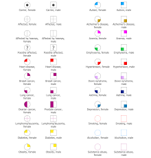 Design Elements Medical Genogram Genogram Template Family Genogram Business Template