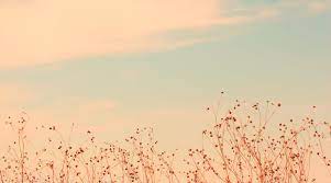 See more ideas about aesthetic wallpapers, aesthetic vintage, sky aesthetic. Aesthetic Vintage Background Plain Aesthetic Plain Color Page 1 Line 17qq Com Create A Vintage Look A Grungy Look Or Create Interest On Your Photos Artwork Garr Tery