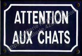 Plaque Panneau Emaille Attention Aux Chats Style Plaque De Rue Panneau Plaque De Rue Fond Vert