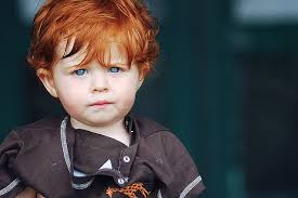 Marcus Galland Ginger Babies Blue Eyed Baby Red Hair Blue Eyes Boy