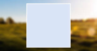 J. Gordon Jr. Mitchell Obituary April 27, 2008