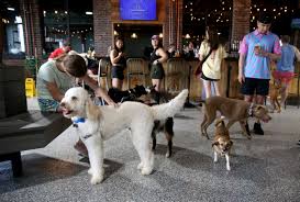 Come enjoy the long weekend at Park-9 Everett!