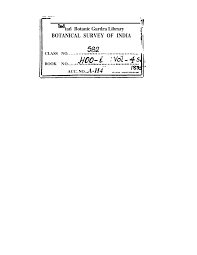 Image result for Trichopteryx elegantula