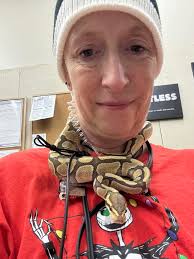 Meet Merlin, the Lesser Orange Dream