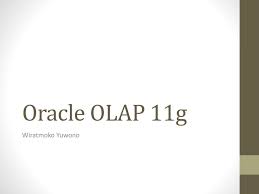 Click the download button and scroll down to database section. Oracle Olap 11g Wiratmoko Yuwono Ppt Download